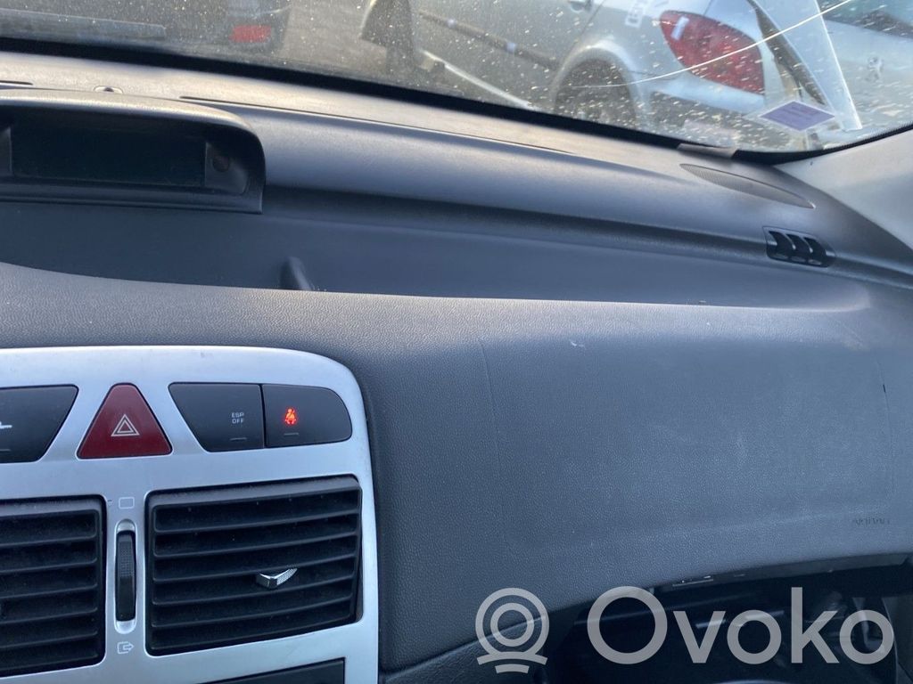 Peugeot 307 Panelis 
