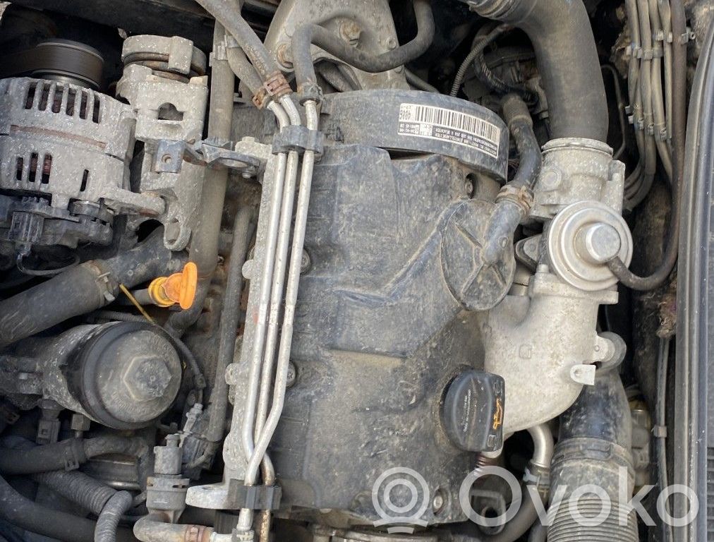 Seat Ibiza III (6L) Motor 