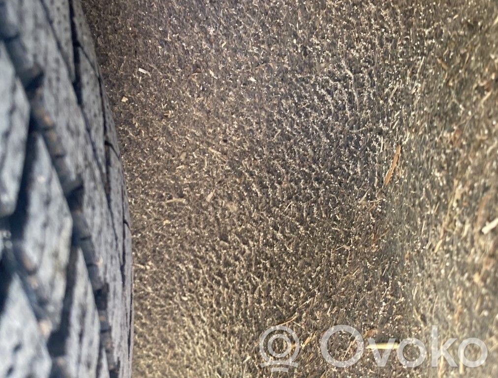 Nadkole tylne   1302763