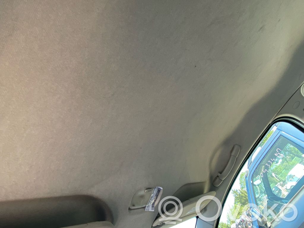 Citroen C2 Techo 