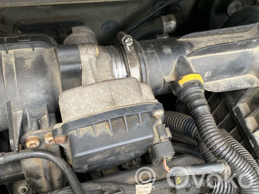 Citroen C2 Valvola a farfalla 