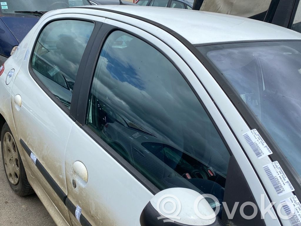 Peugeot 206 Portiera anteriore 