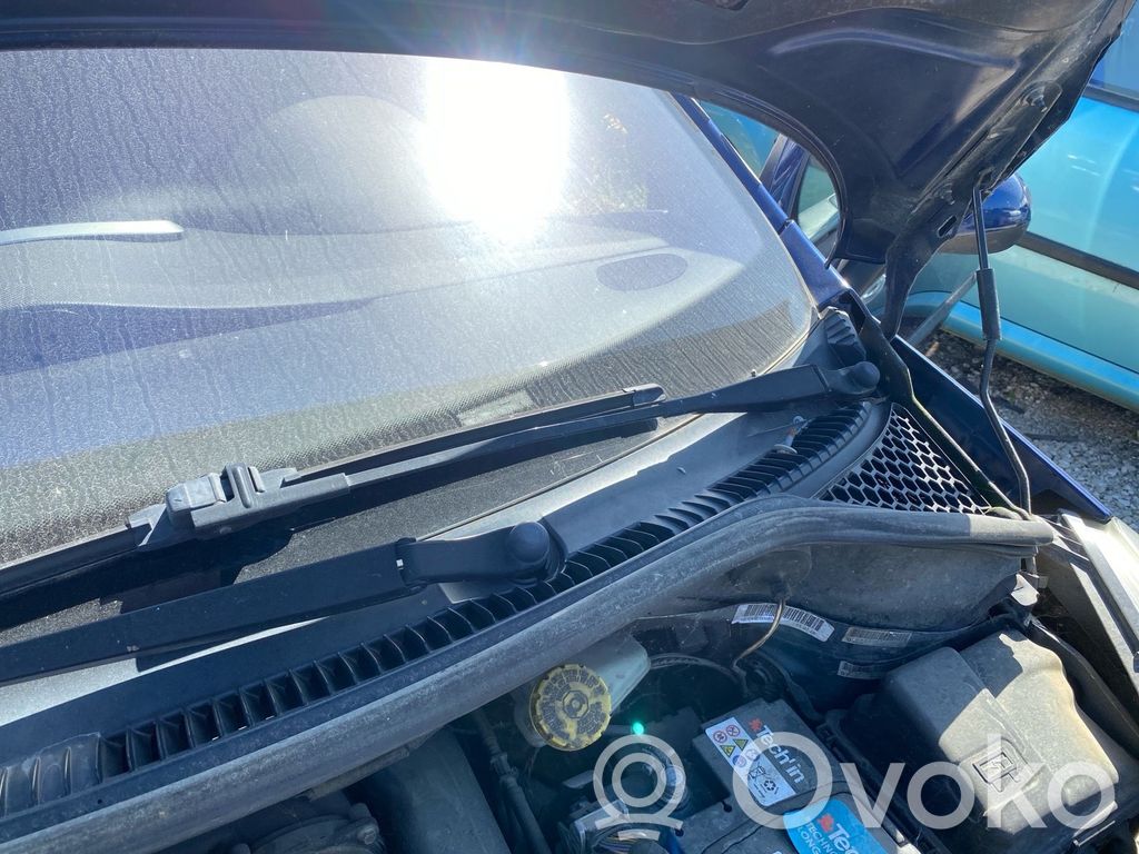 Peugeot 207 Rivestimento del tergicristallo 