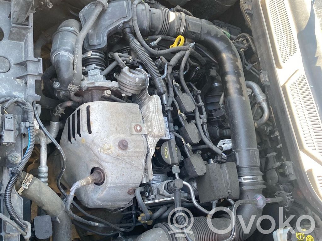 Ford Ecosport Variklis 