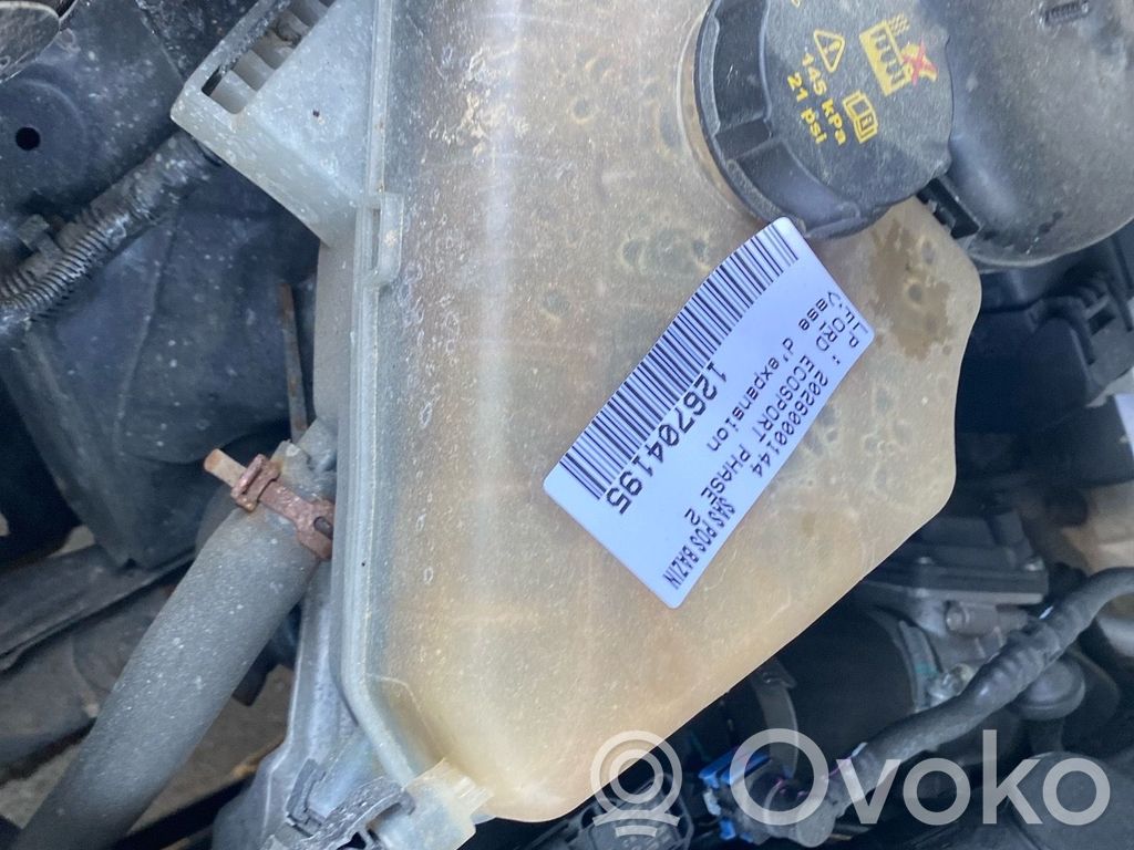 Ford Ecosport Bușon vas expansiune 