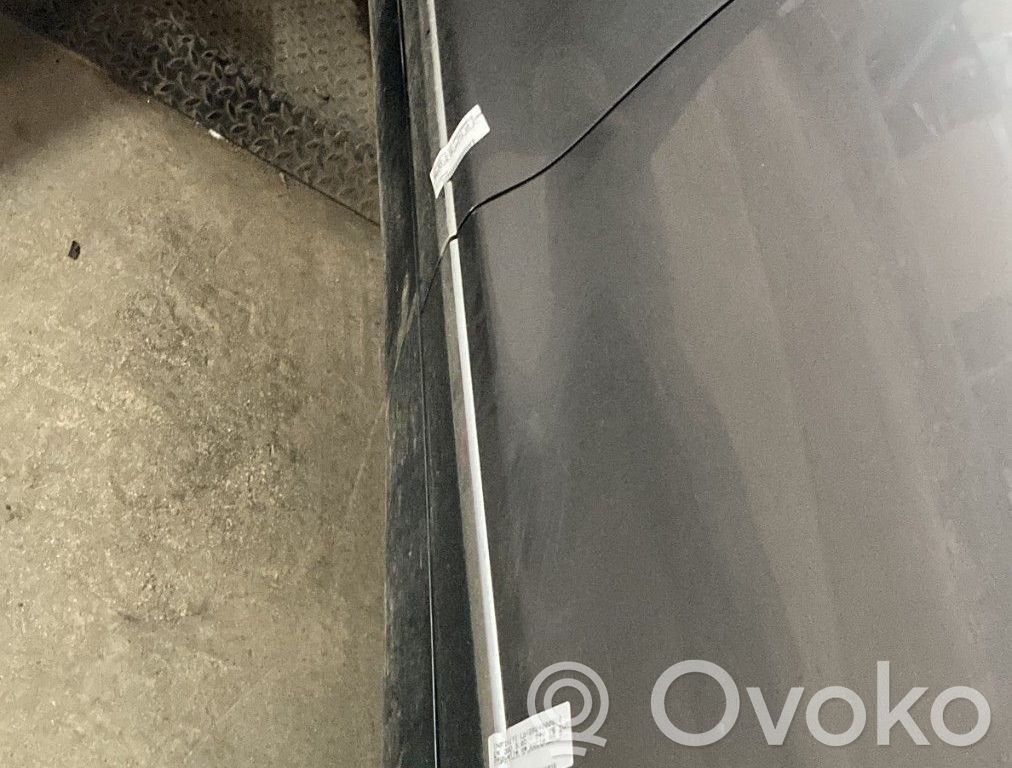 Infiniti EX Sottoporta 