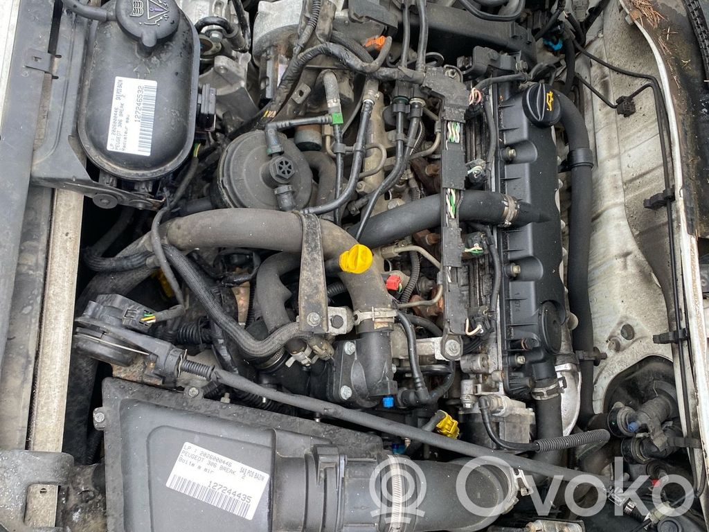 Peugeot 306 Motor 