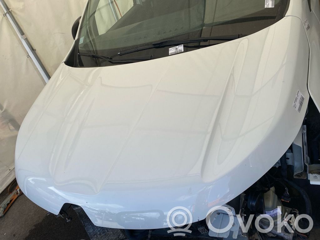 Konepelti   651007238R
