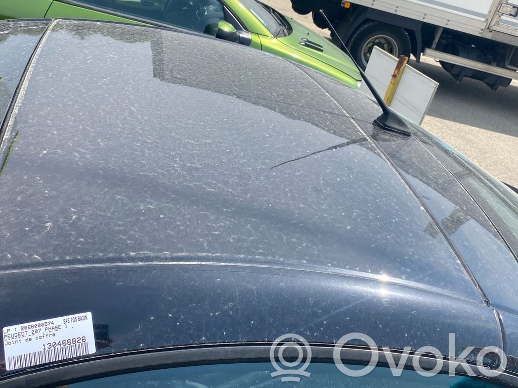 Peugeot 207 Schiebedach-Set