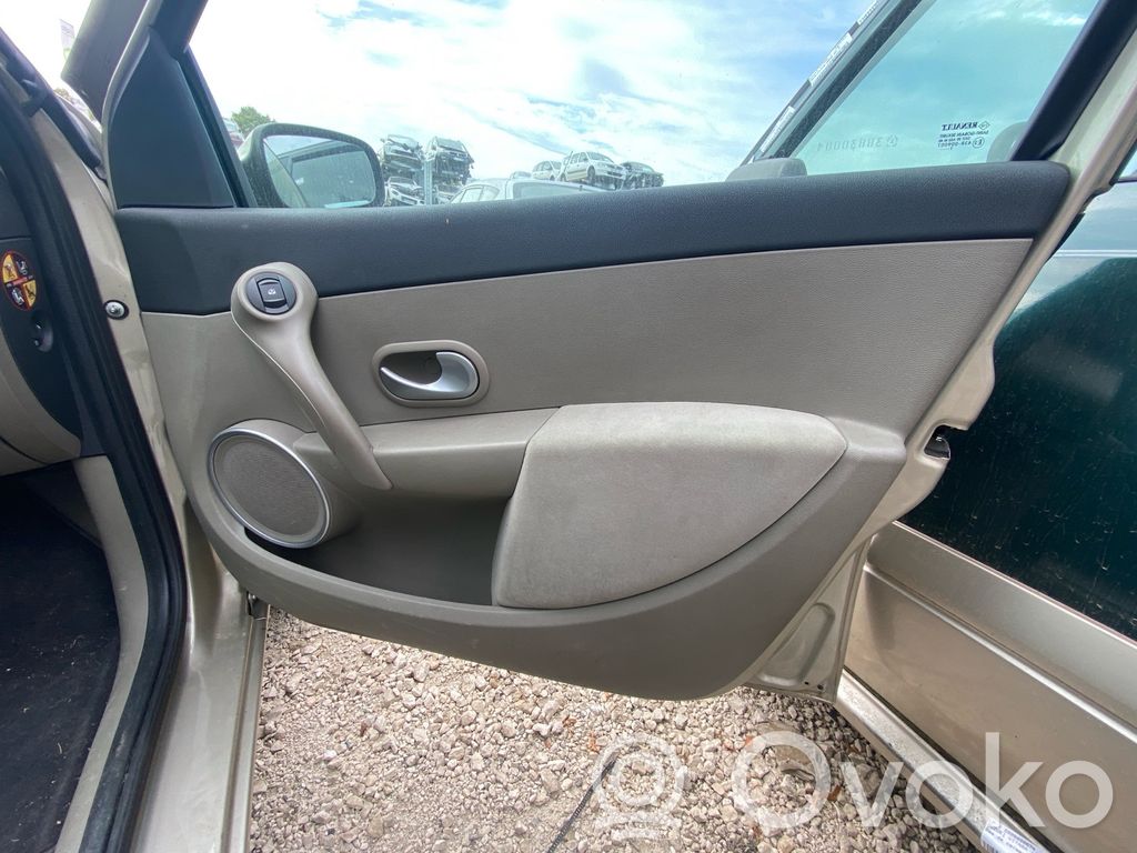Renault Clio III Verkleidung Tür vorne 