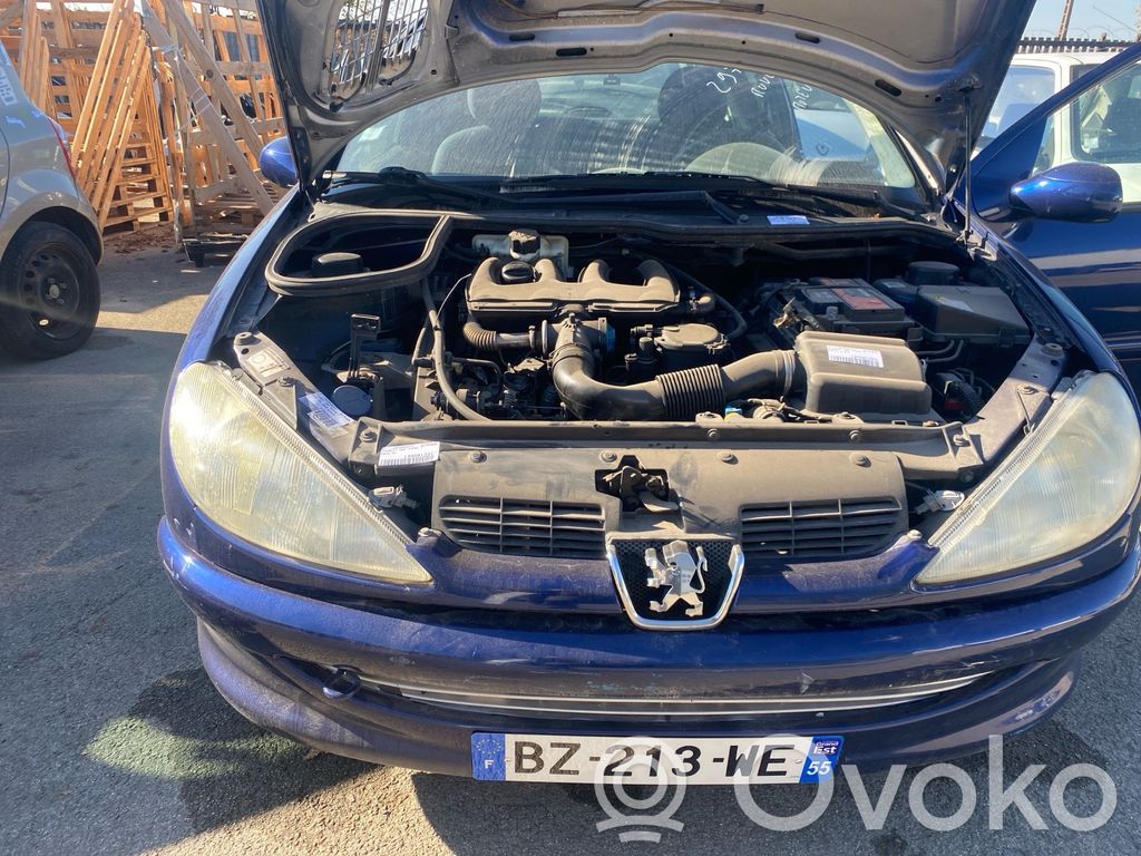 Peugeot 206 Atrapa chłodnicy / Grill 