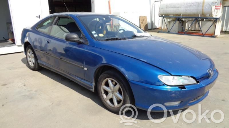 Peugeot 406 Durvis 