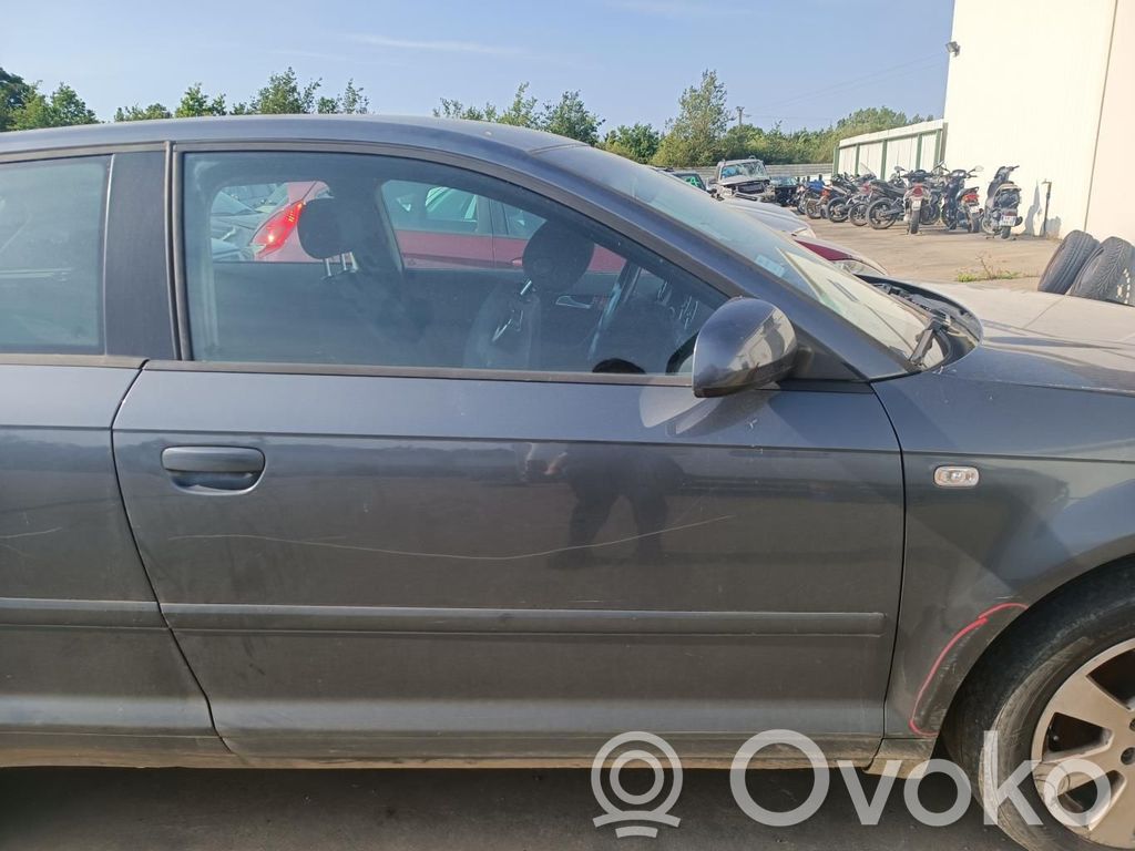 Audi A3 S3 8P Durvis 