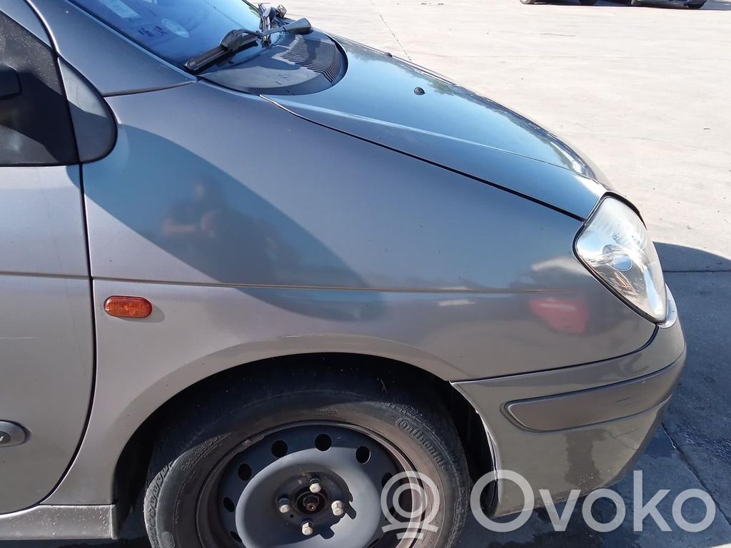 Renault Scenic I Guardabarro 