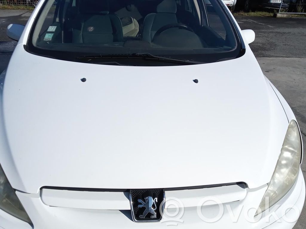 Peugeot 307 Konepelti 