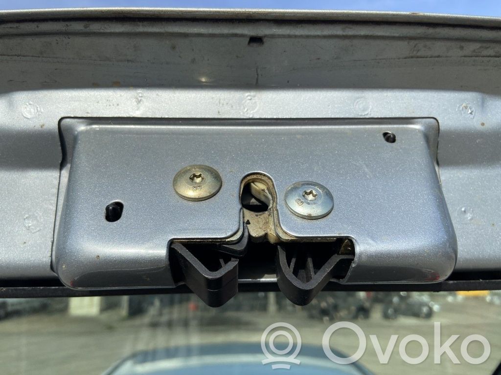 Tailgate/trunk/boot lock/catch/latch   4398070