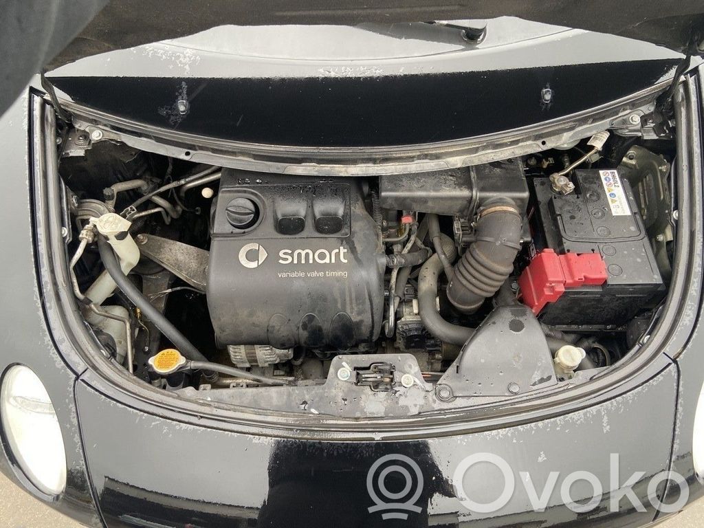Smart ForFour I Radiatoru panelis 