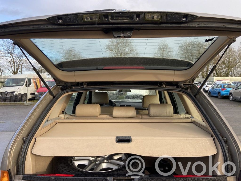 Tailgate/trunk strut/damper