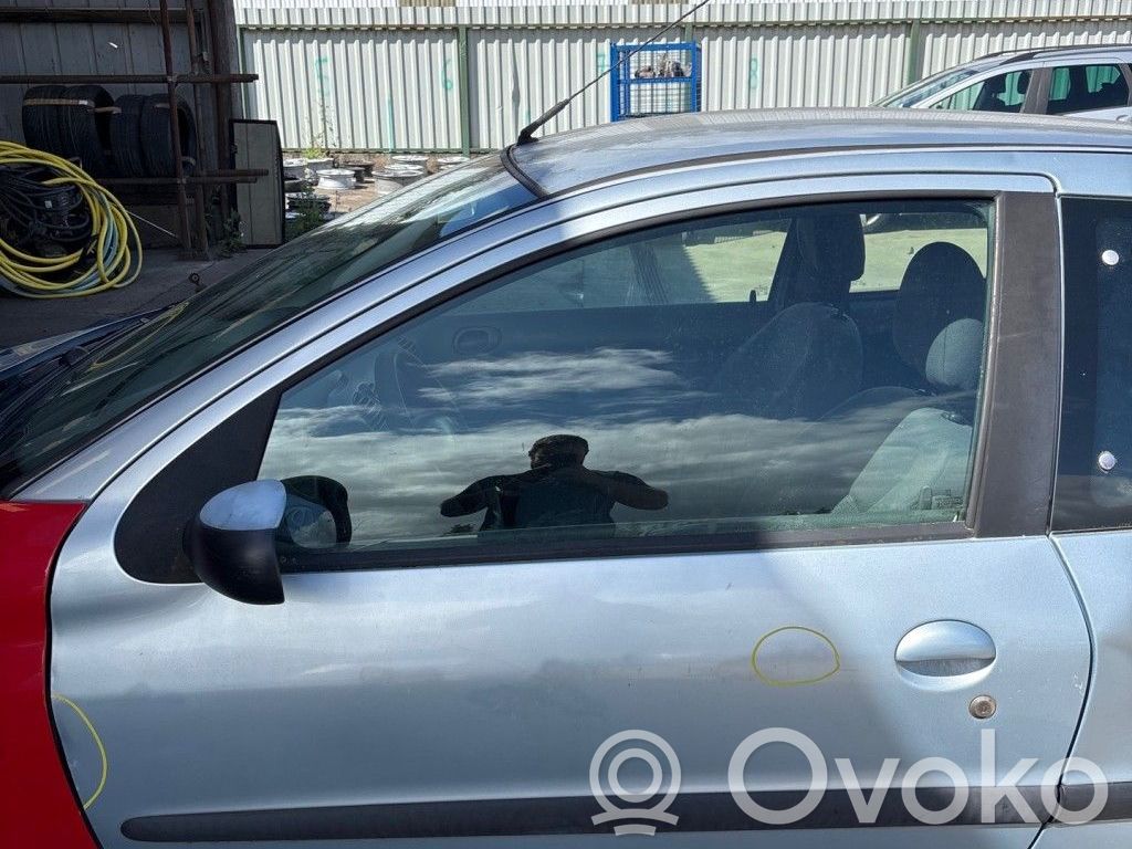 Peugeot 206 Puerta delantera 