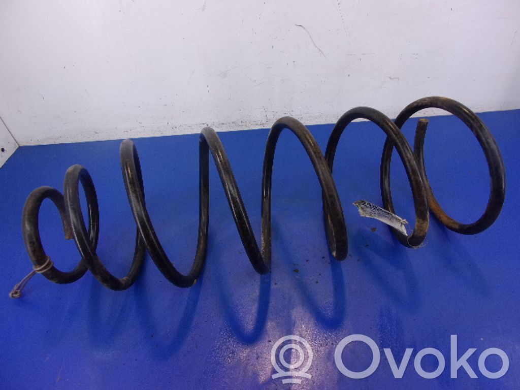 Front coil spring