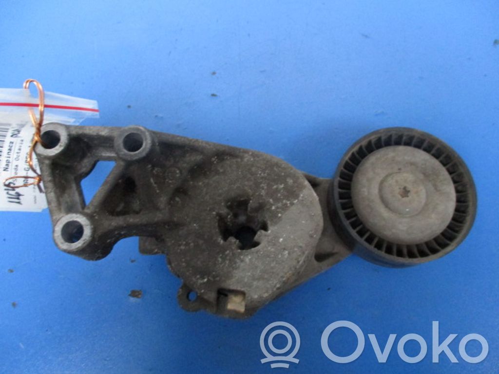 Skoda Octavia Mk2 (1Z) Întinzător curea/lanț distribuție 