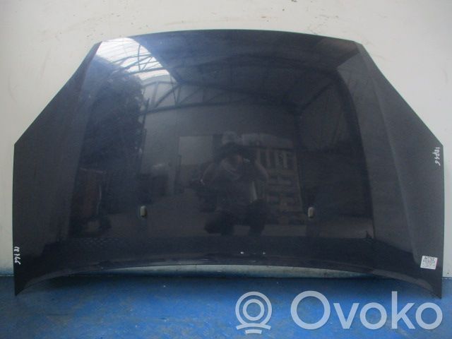 Dzinēja pārsegs (vāks)