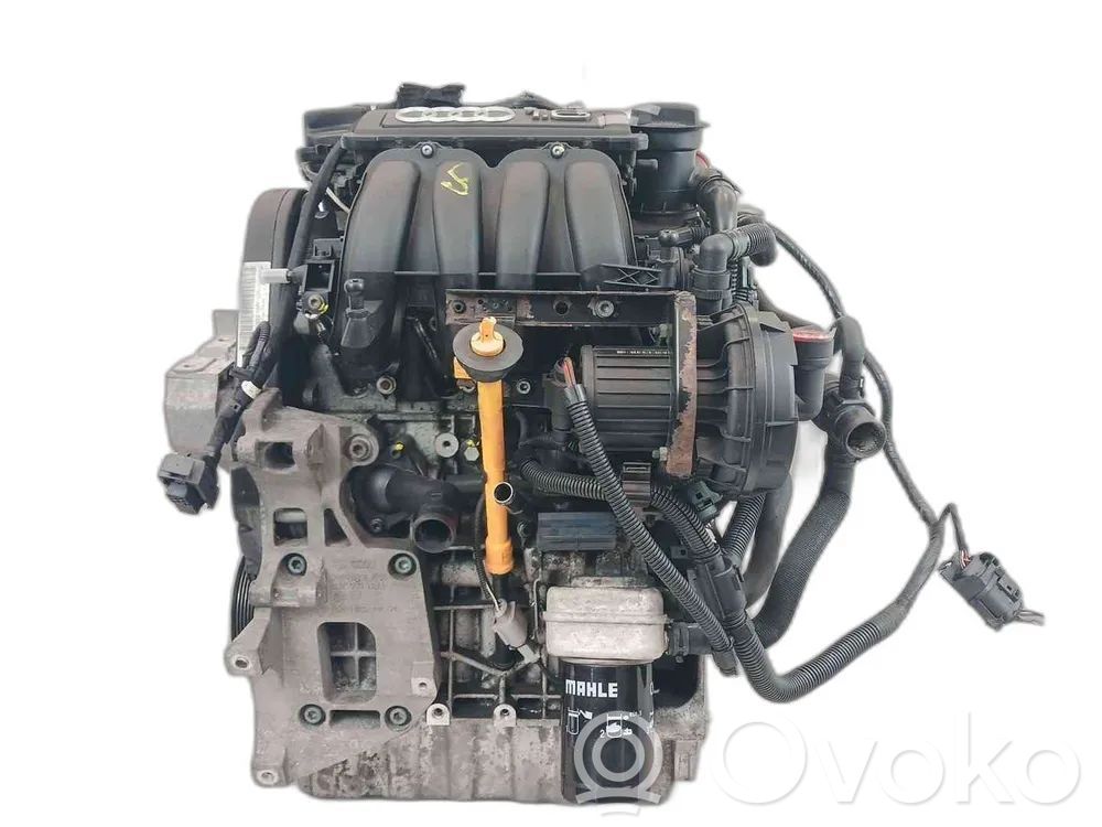 Variklis   BGU,06A100098EX