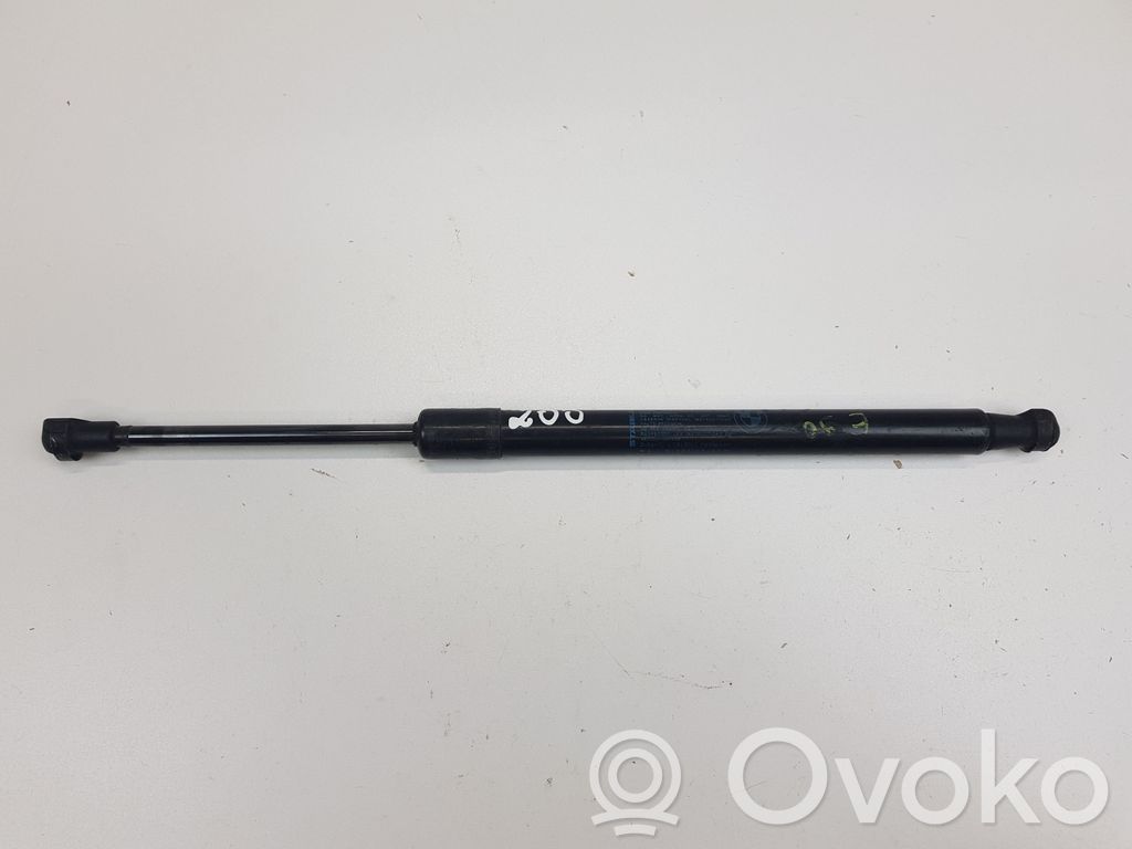 Tailgate/trunk strut/damper   7250308
