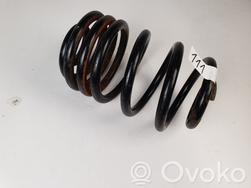 Rear coil spring