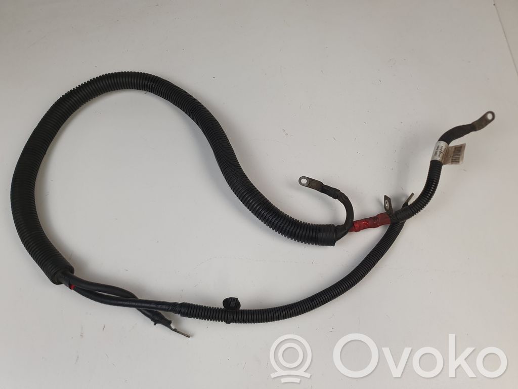 Positive cable (battery)   13462212