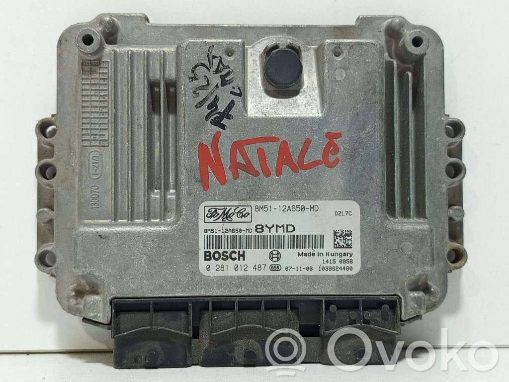 Ford C-MAX I Engine control unit/module 