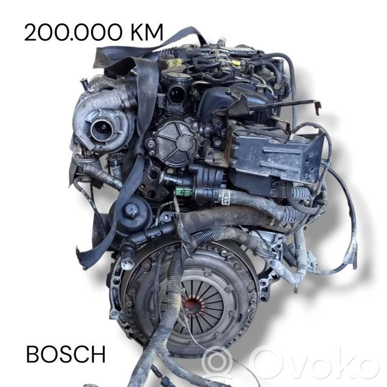 Ford Focus Variklis 
