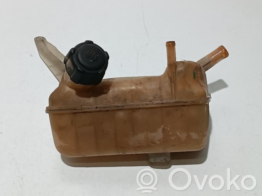 Renault Megane II Serbatoio di compensazione del liquido refrigerante/vaschetta 