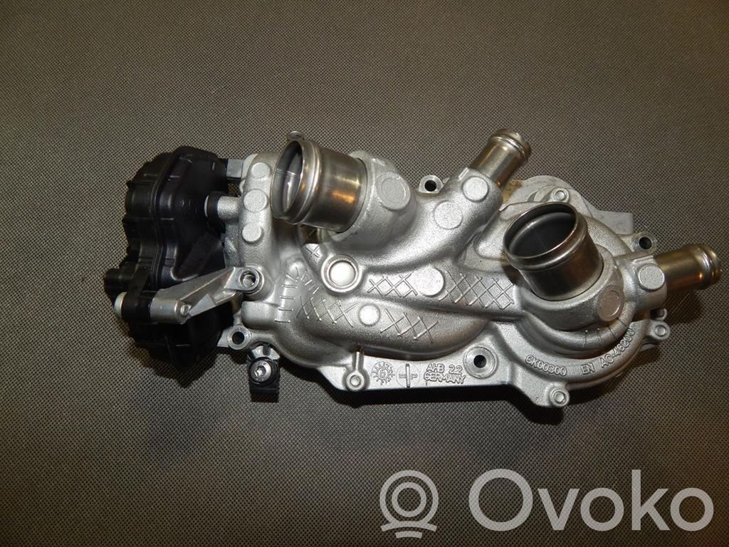 Volkswagen Golf VII Pompe de circulation d'eau 