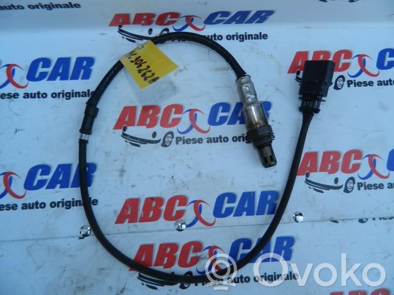 Зонд «Lambda»   04C906262A