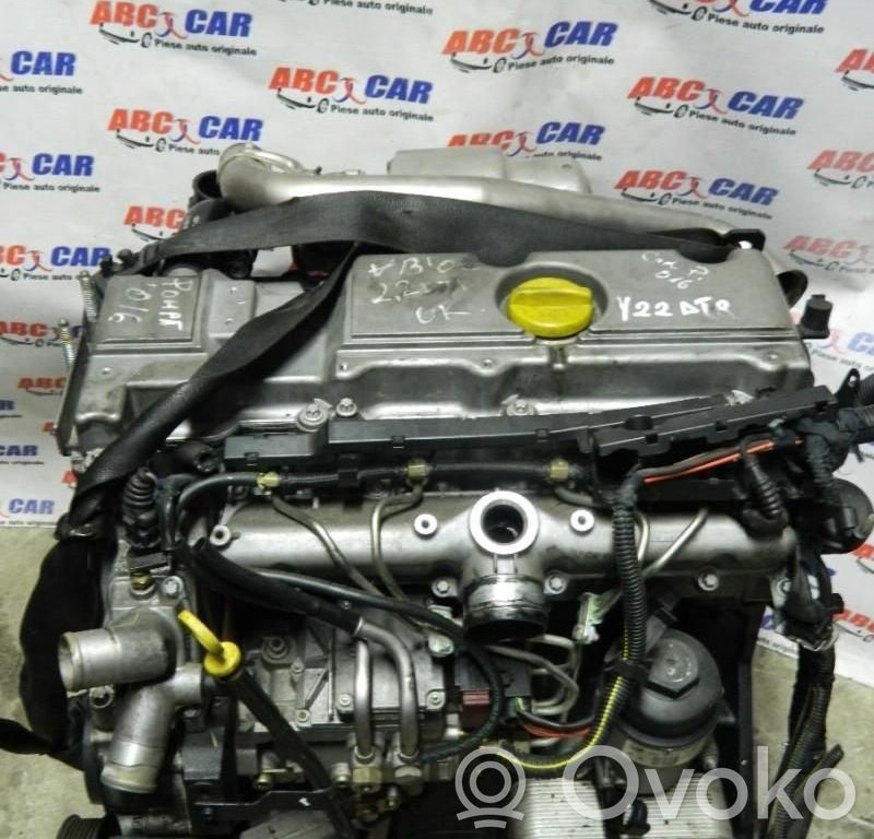 Thermostat   2503185