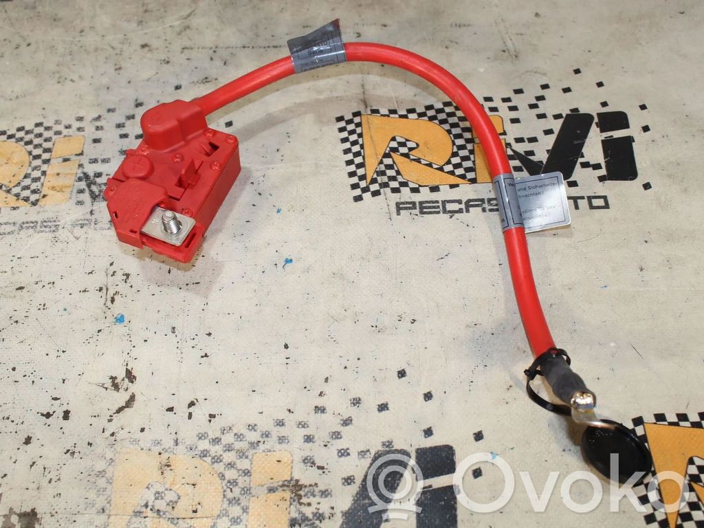 Battery control module   61126988974,CABO