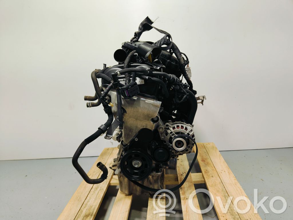 Volkswagen Polo V 6R Motore 