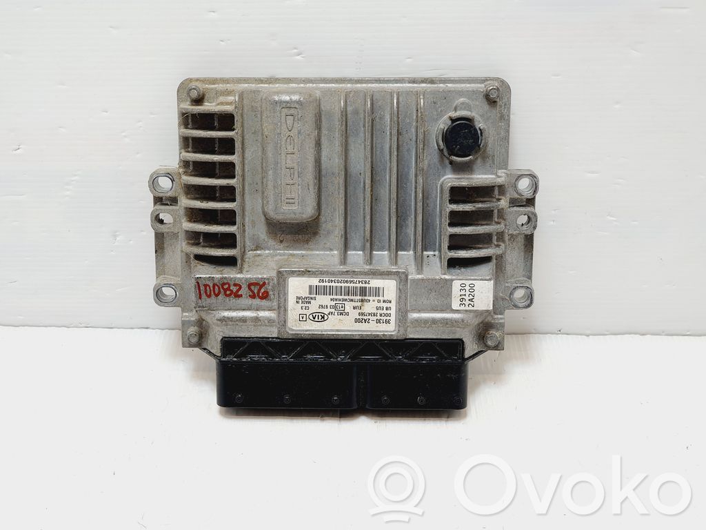 Engine control unit/module ECU   391302A200,391302A200