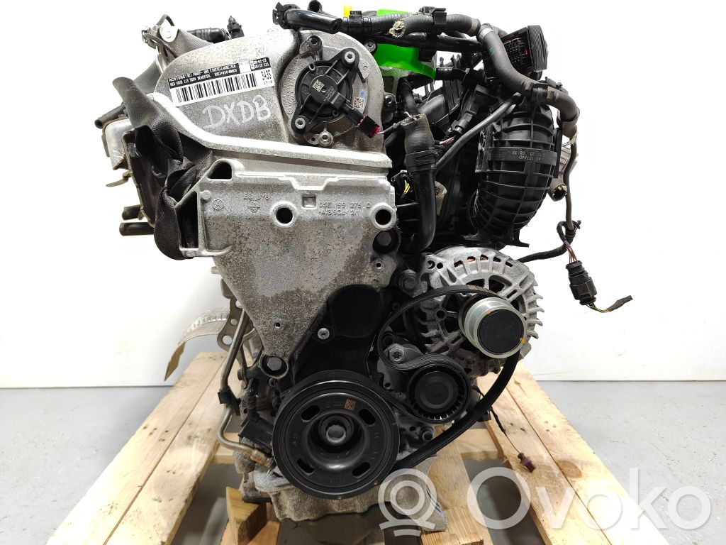 Motor   DXDB,05E100032D,05E100032DX,05E103063L