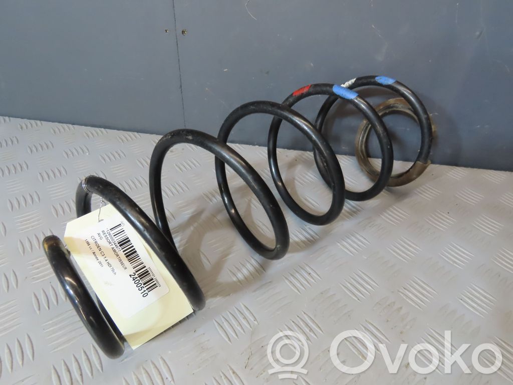 Front coil spring   5002XY