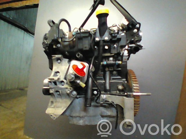 Variklis   8201199856
