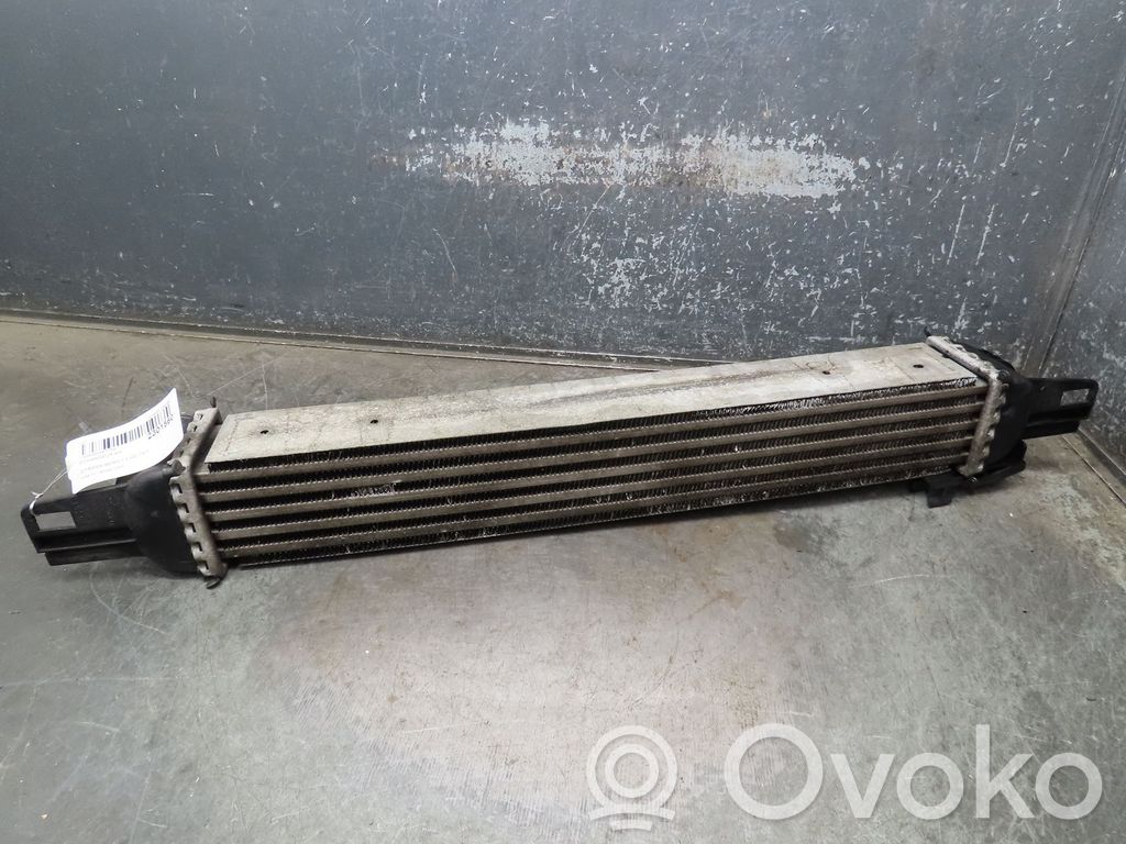 Citroen Nemo Interkūlerio radiatorius 