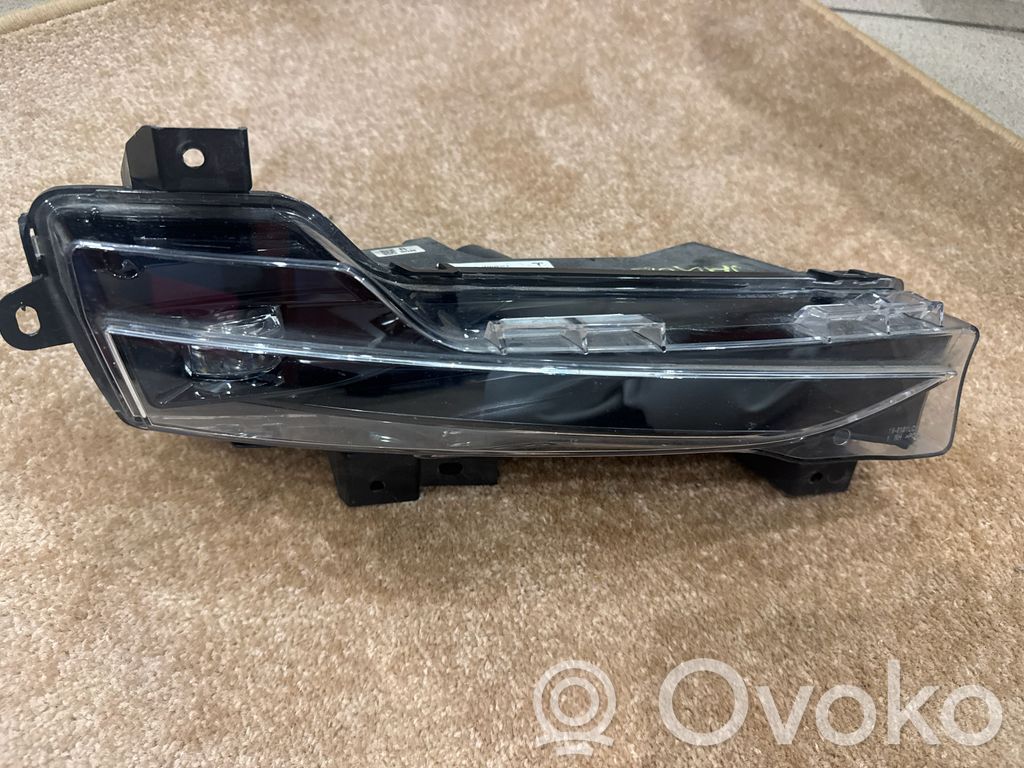 Miglas lukturis priekšā   162479800A,DC521224A0500