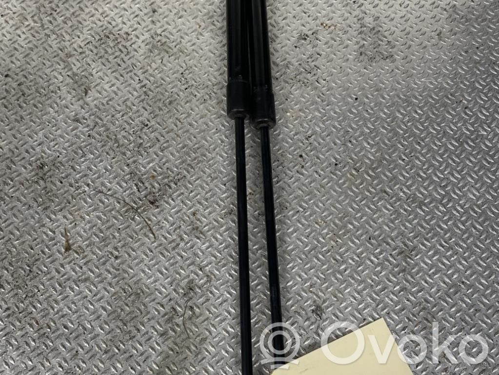 Tailgate/trunk strut/damper   904513VV0B
