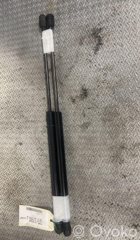 Tailgate/trunk strut/damper   1684312