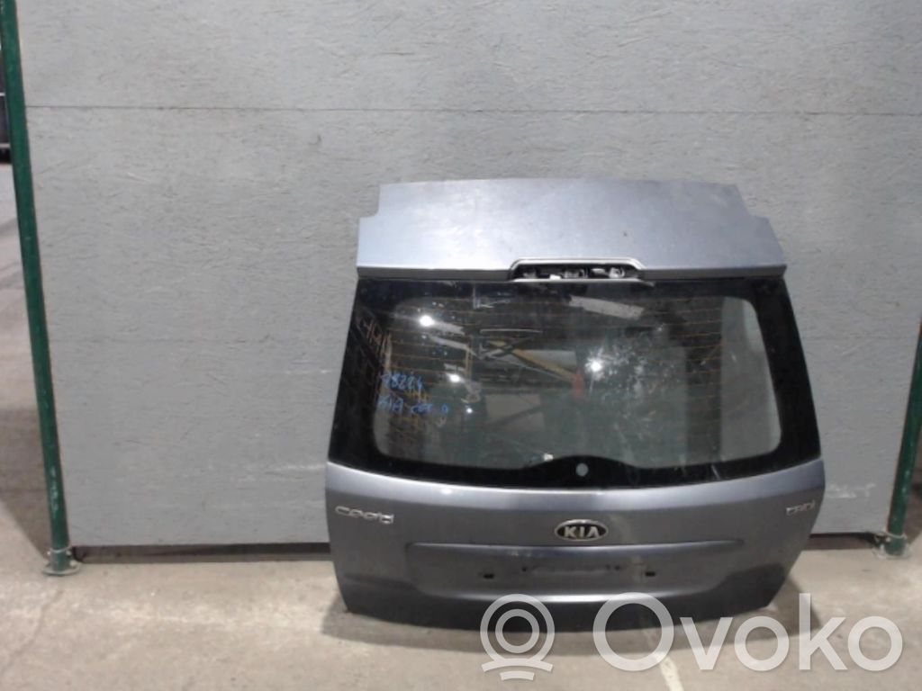 Tailgate/trunk/boot lid   737001H500