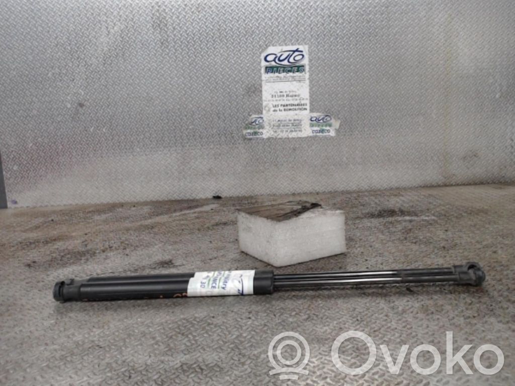 Tailgate/trunk strut/damper   1542413