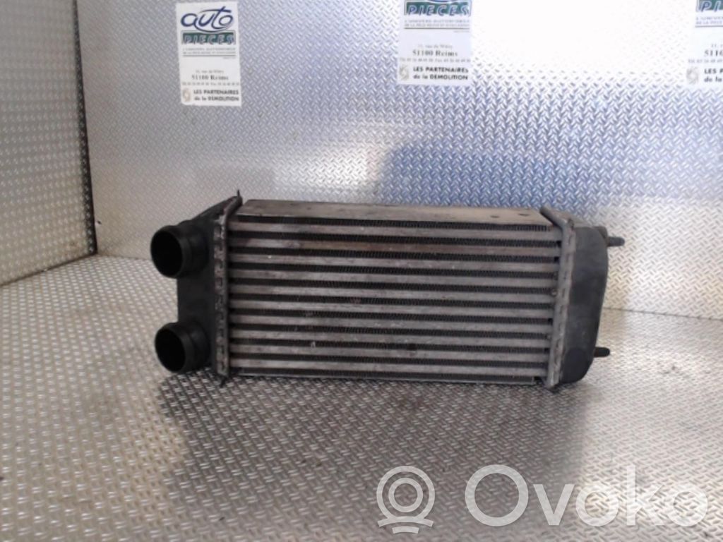 Peugeot 206 Intercooler radiator 