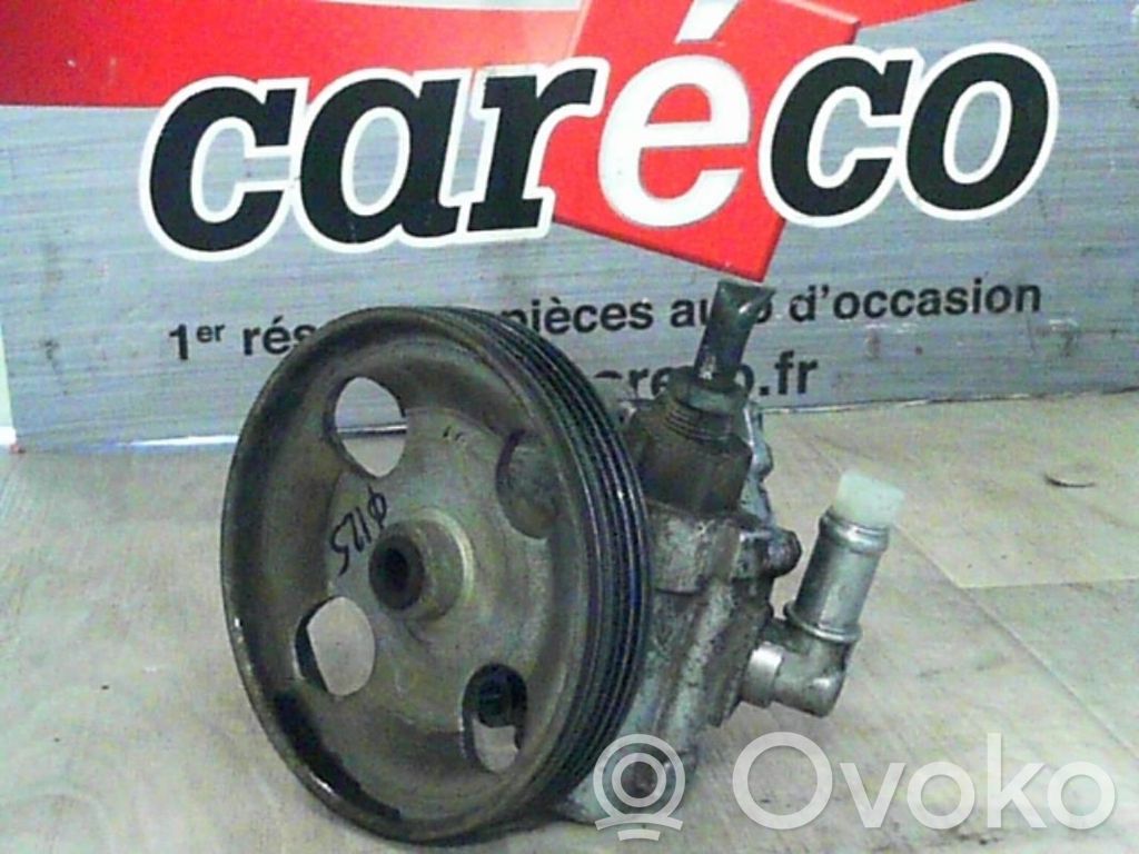 Power steering pump   4007EP